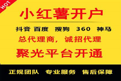百度SEO推广公司经典之作：打造行业领先品牌